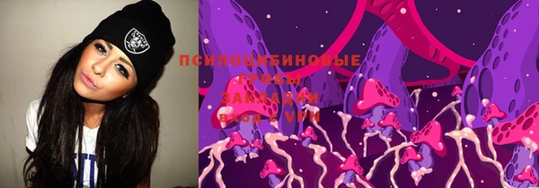 герыч Бикин