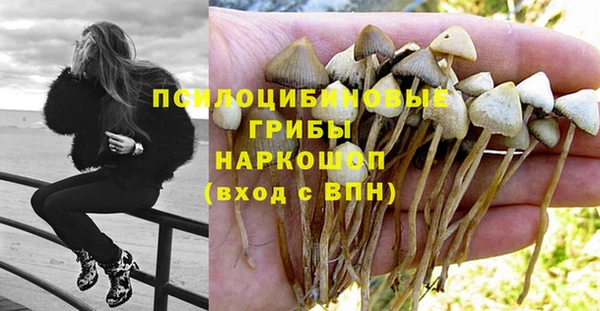 хмурый Алексеевка