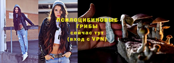 круглые Билибино