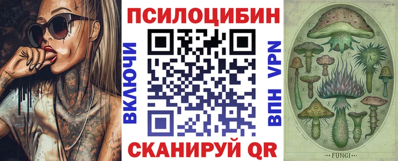 как найти закладки  Губкин  Галлюциногенные грибы Cubensis 